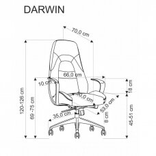 Darbo kėde DARWIN